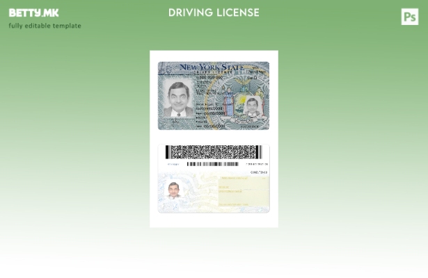 Модерен стил шаблон за верзија на возачка дозвола во САД Њујорк